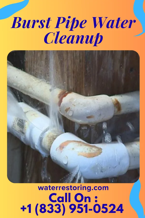 Burst Pipe Water Cleanup in Green Knoll, NJ