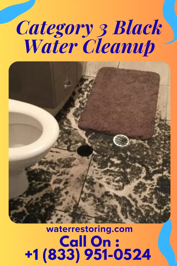 Category 3 Black Water Cleanup in Green Knoll, NJ