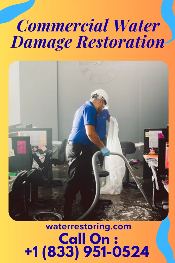 Commercial Water Damage Restoration in Green Knoll, NJ