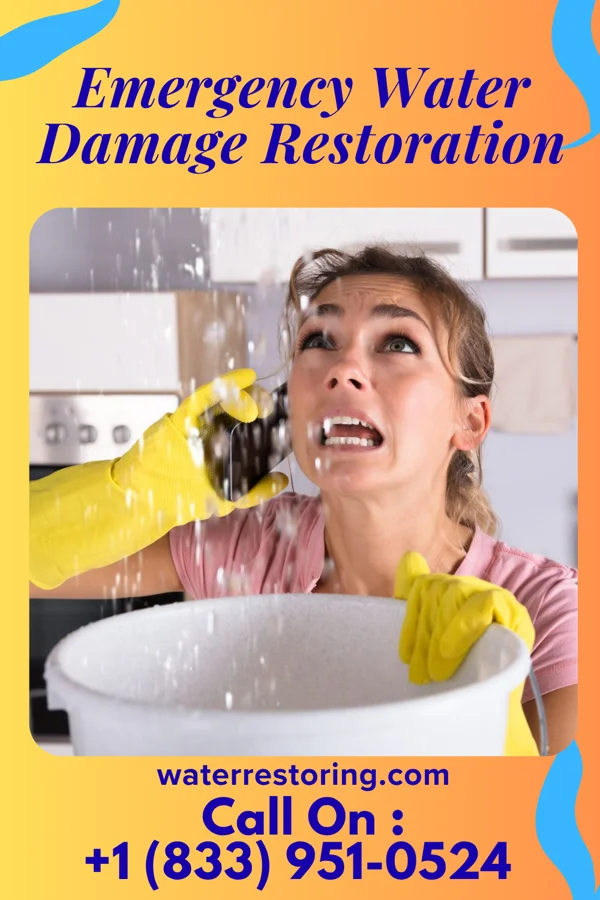 Emergency Water Damage Restoration in Green Knoll, NJ