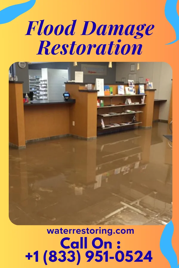 Flood Damage Restoration in Green Knoll, NJ