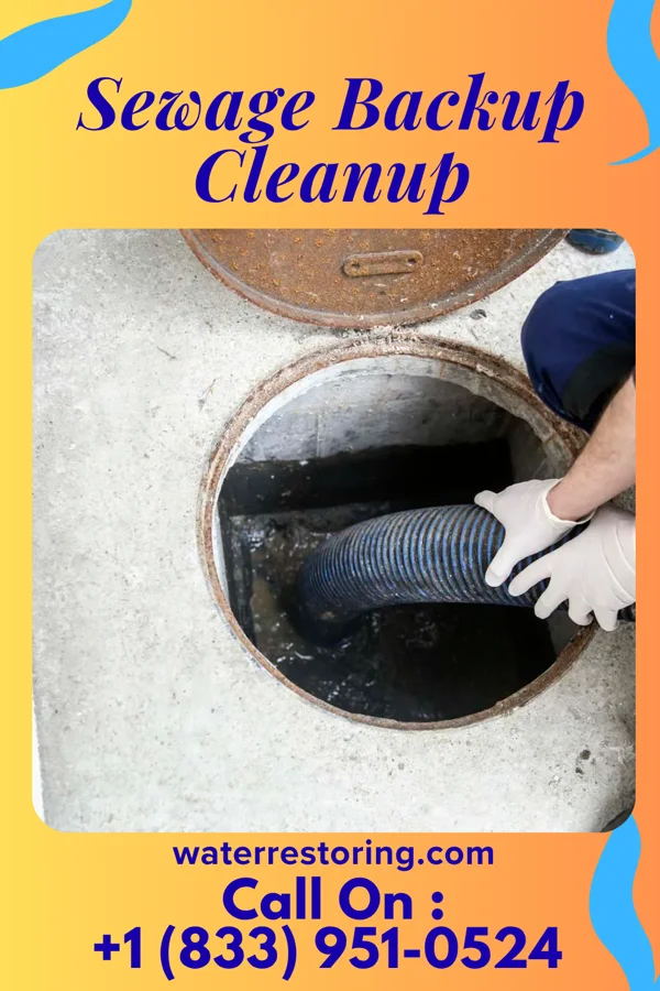 Sewage Backup Cleanup in Green Knoll, NJ