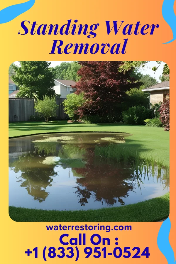 Standing Water Removal in Green Knoll, NJ